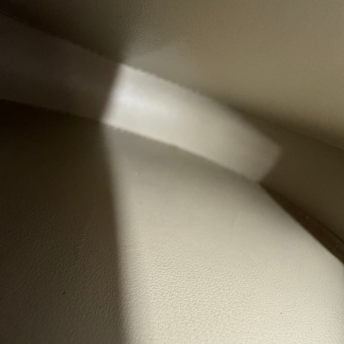 셀린느 오벌펄스 라이스 크로스백   상품이미지10