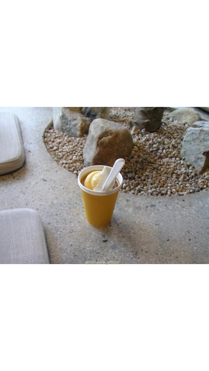 Xacti CA9 Yellow(Rare Color) 상품이미지3