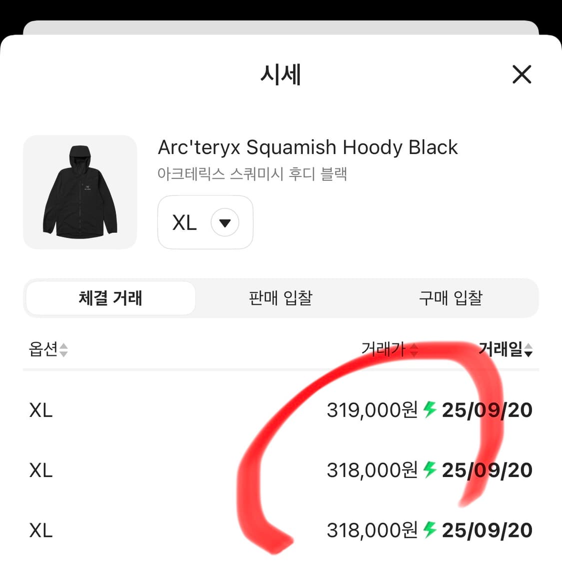 [XL] 아크테릭스 스쿼미시 후디 블랙 상품이미지3