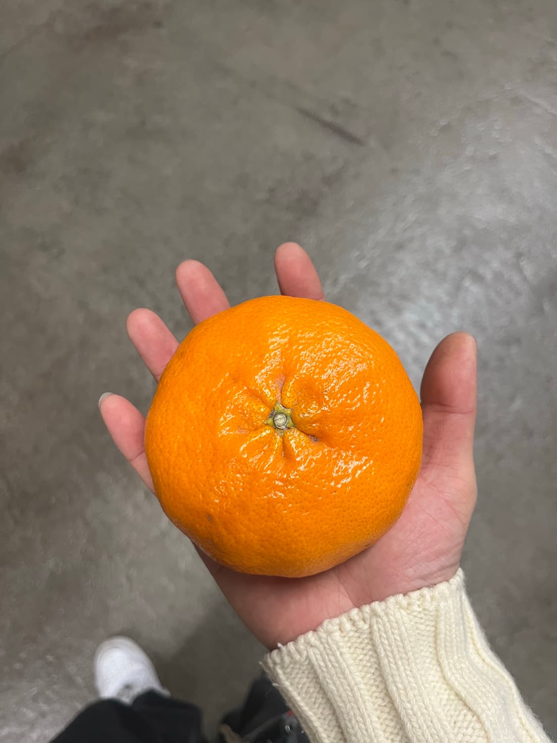 결재창 상품이미지1