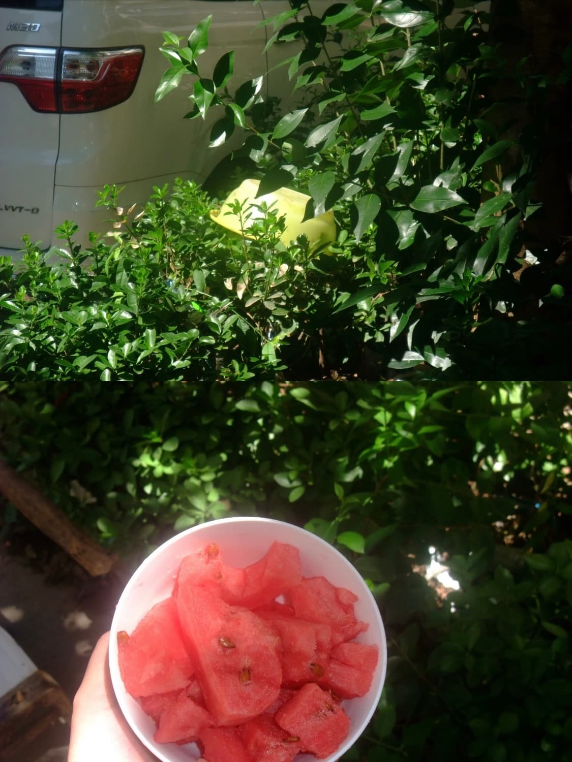 (필름감성!🫧) 후지필름 파인픽스 F100fd | Finepix 상품이미지7