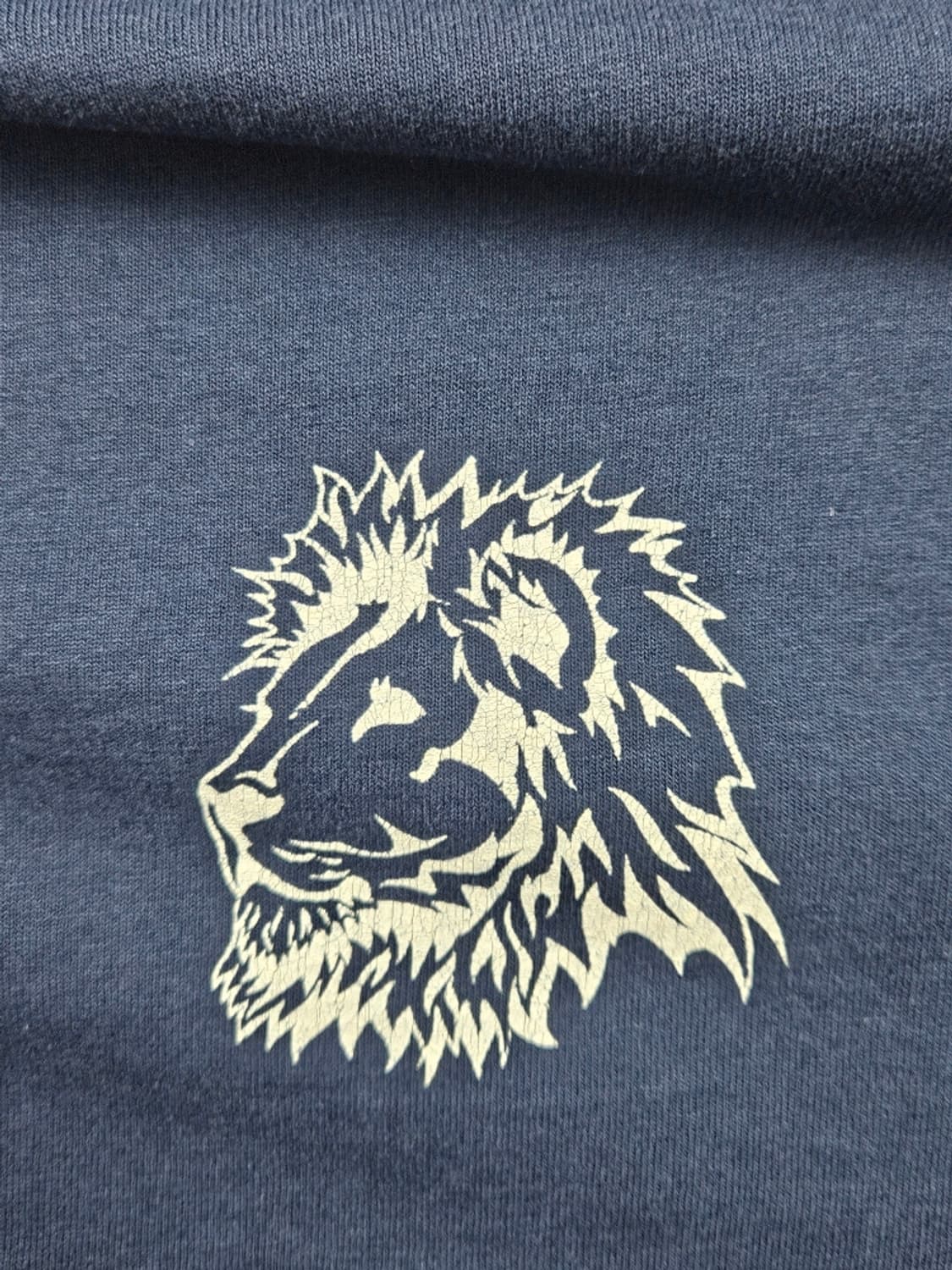 80'~90's 프룻 오브 더 룸 라이언 롱슬리브 ( XL )/11118 상품이미지7