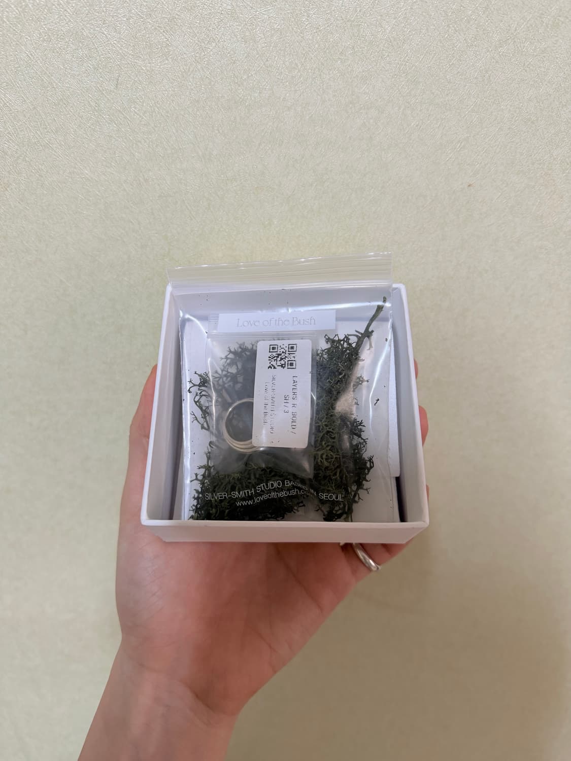 LAYERS. BOLD 상품이미지5