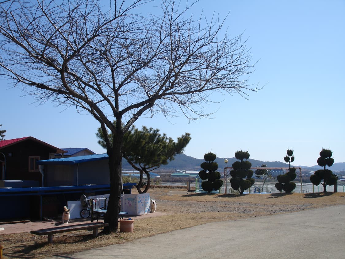 작례O) ☁️SONY Cyber-shot DSC-P150 소니 사이버샷 상품이미지9