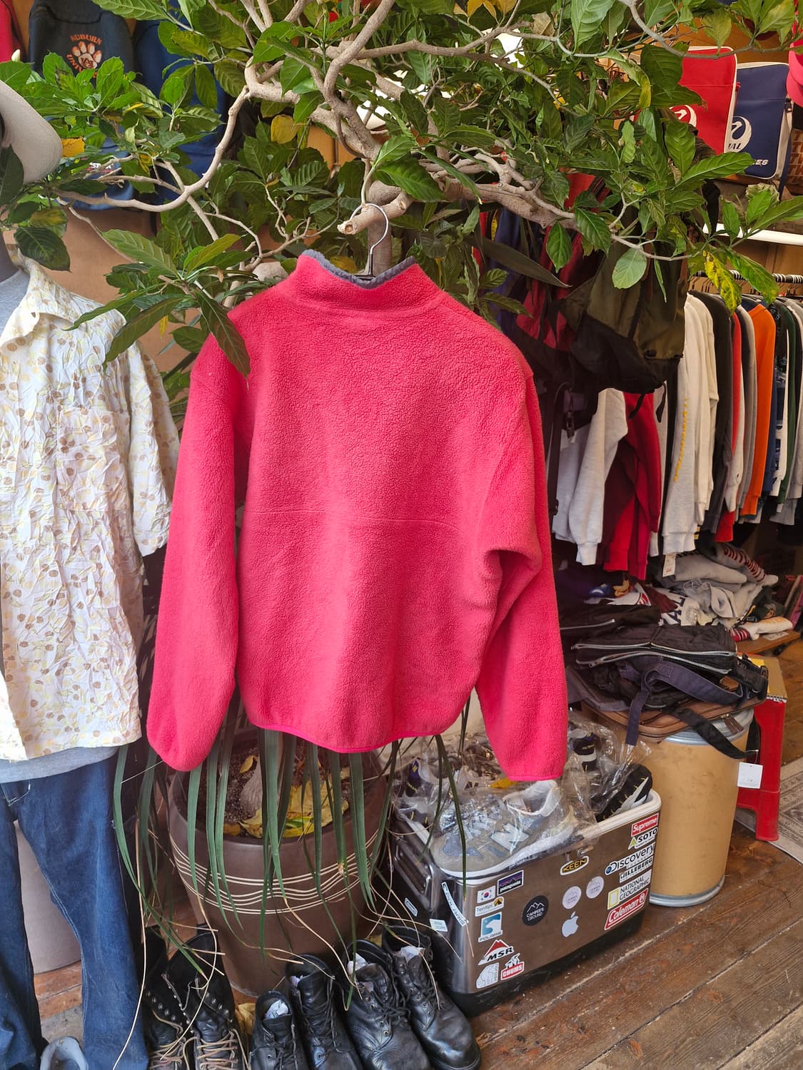 Z-288 파타고니아 신칠라 코랄 상품이미지2