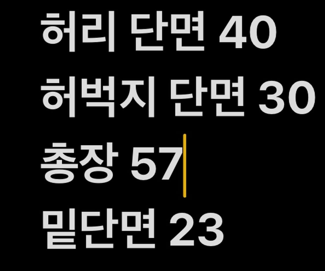 [ 정품/32 ] 나이키 우븐 반바지 b16 상품이미지7