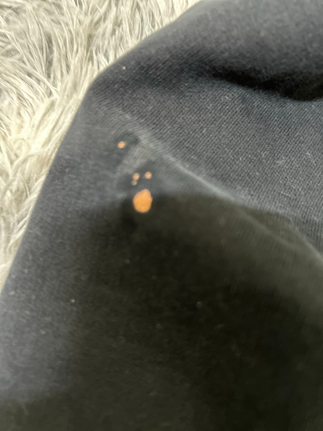 컨버스 올드스쿨 후드티(s) 상품이미지6