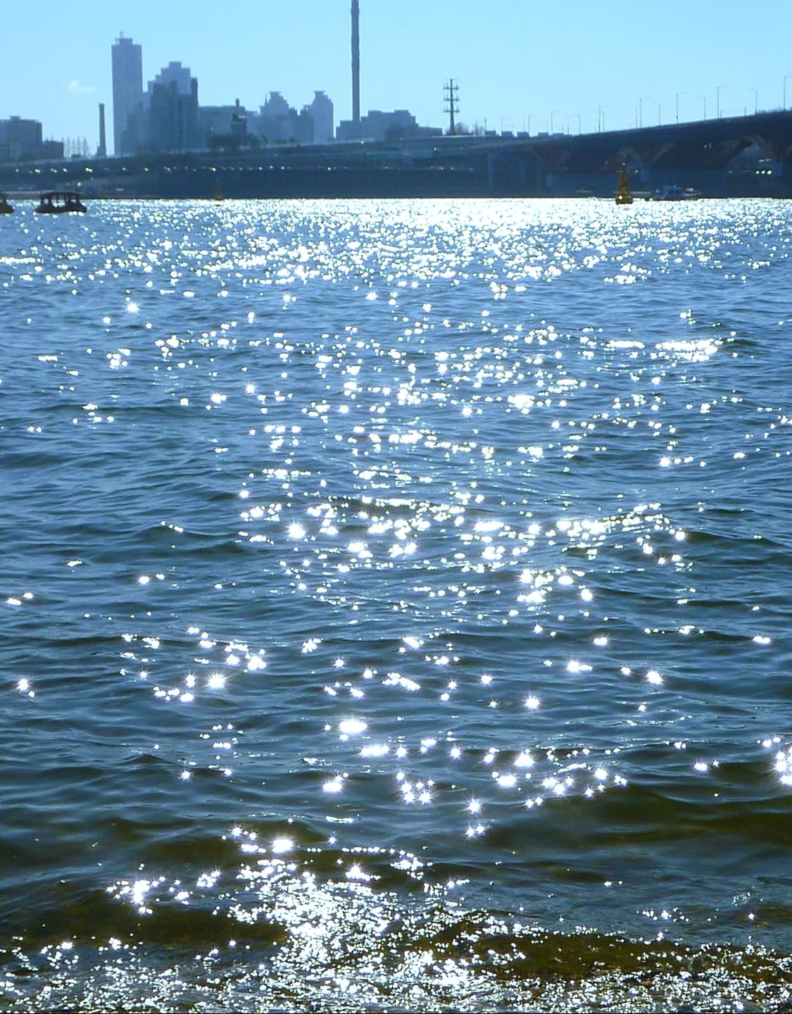 [극미품 풀박스✨️] PANASONIC LUMIX 파나소닉 루믹스 TS4 상품이미지8