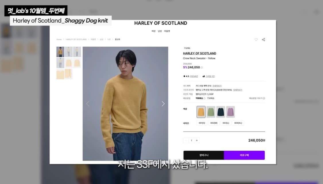 할리오브스코틀랜드 쉐기독 니트 상품이미지3