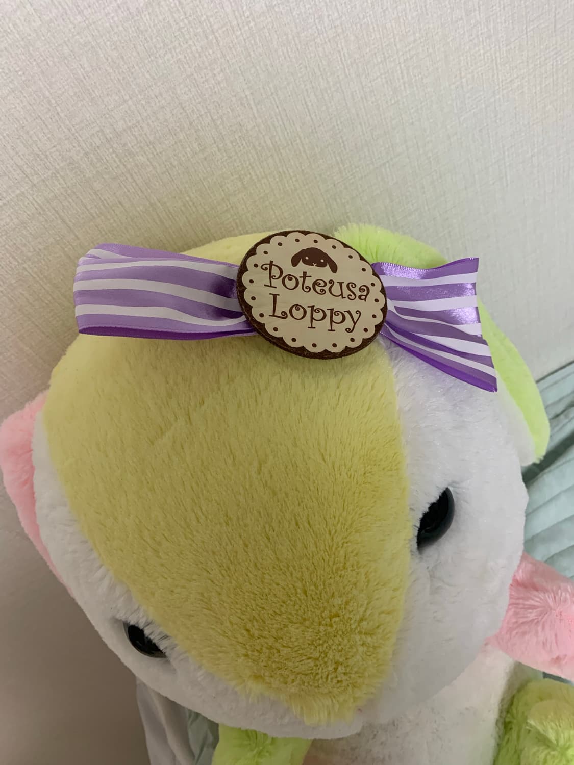 포테우사 롯삐 상품이미지1