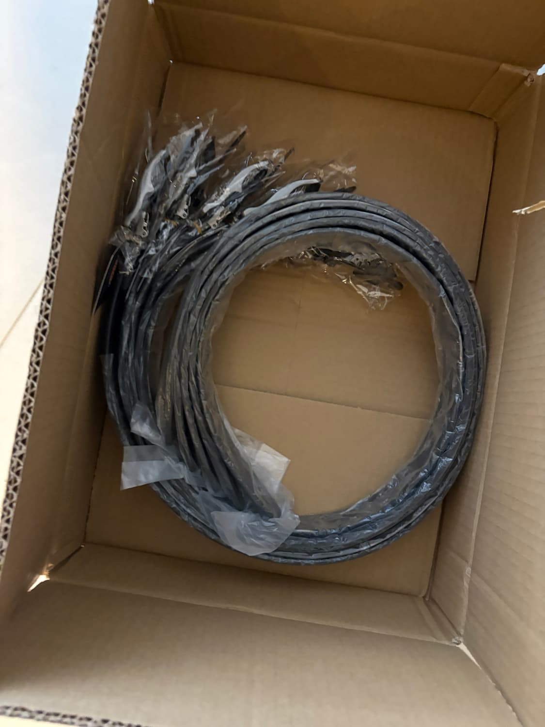 전용 결제창 디키즈 벨트 상품이미지2