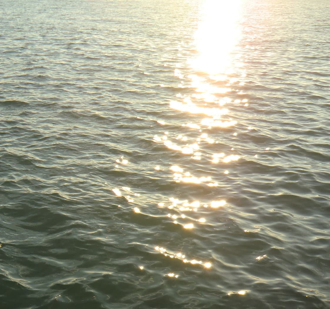 카시오 엑슬림 h15 casio exilim ex-h15 핑크 디카 상품이미지8