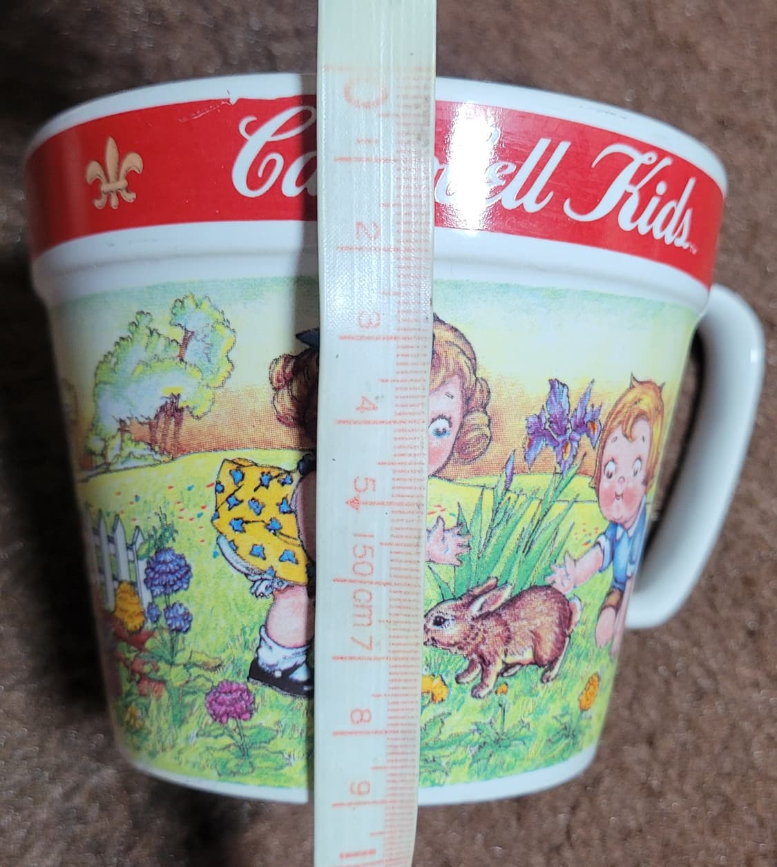 미국 캠벨 키즈 스프볼 (큰컵) 상품이미지8