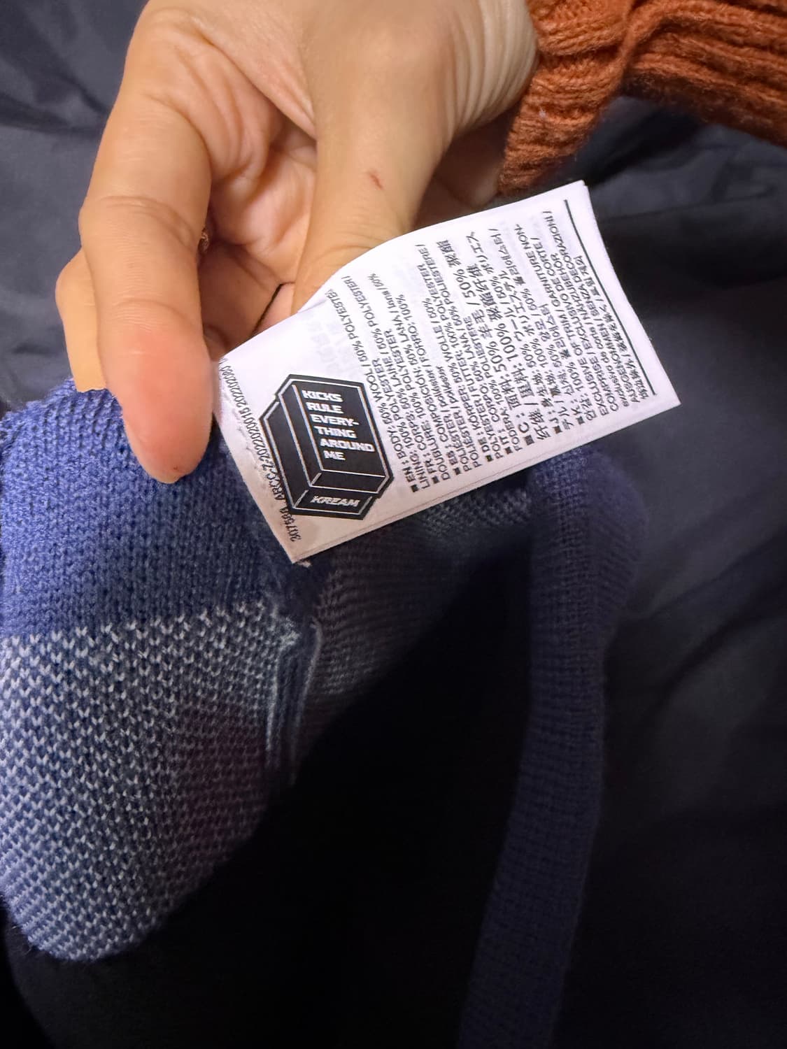 아크테릭스 버드 헤드 토크 문리트 비니 상품이미지5