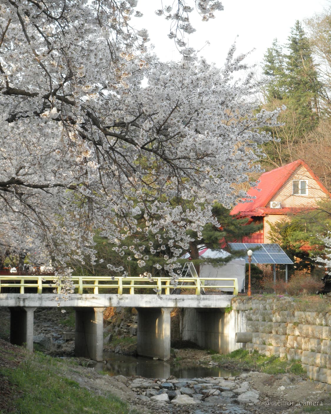 하투하 이안님 사용/인물컷추천♥️Olympus μ-7040 올림푸스 디카 상품이미지9