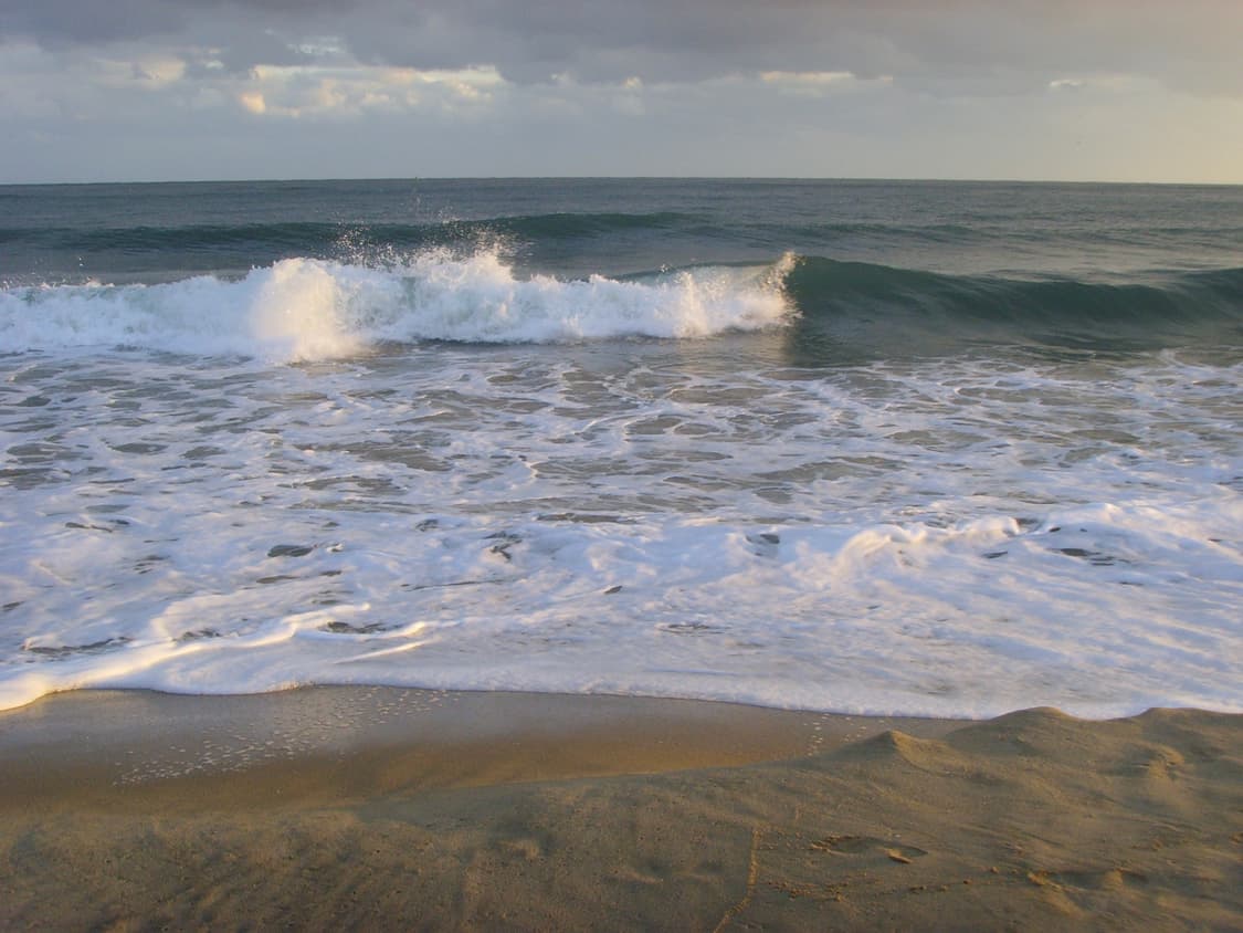 작례 있음 ⭐️ 삼성 Samsung 케녹스 Pmp#11 디카 디지털카메라 상품이미지5