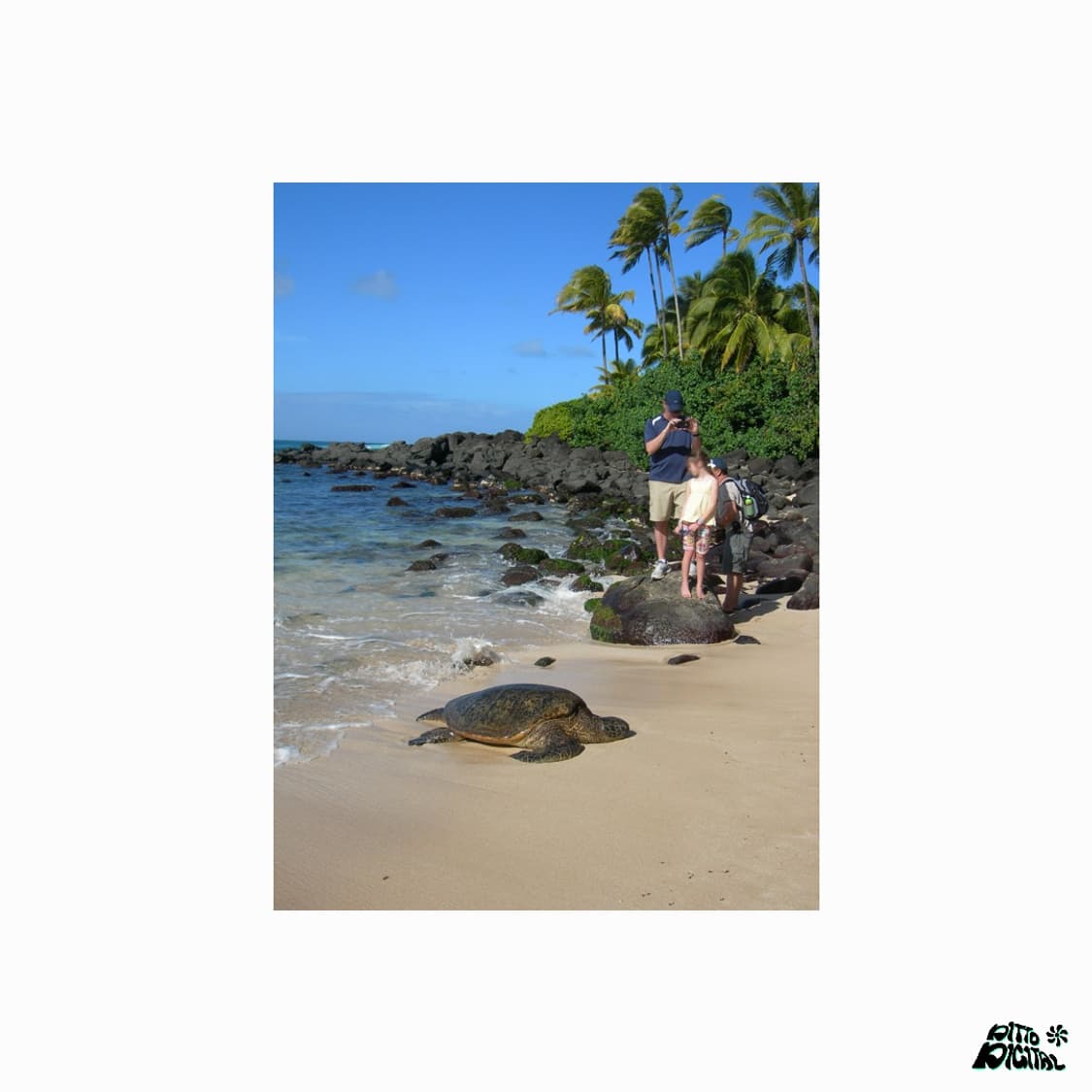 Nikon Coolpix 7600 (Black) 상품이미지6