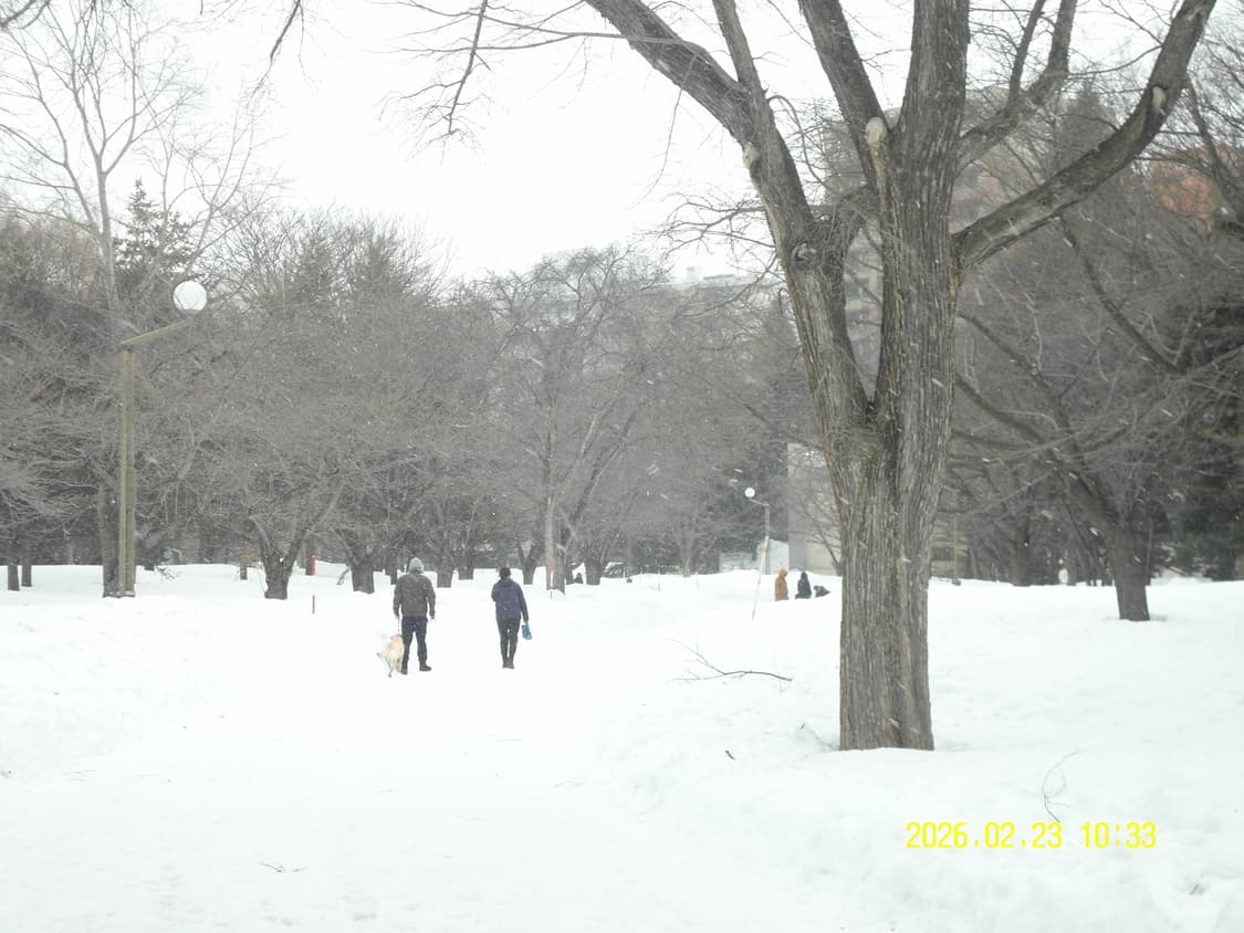 삼성 vluu wb2000 디카 상품이미지6