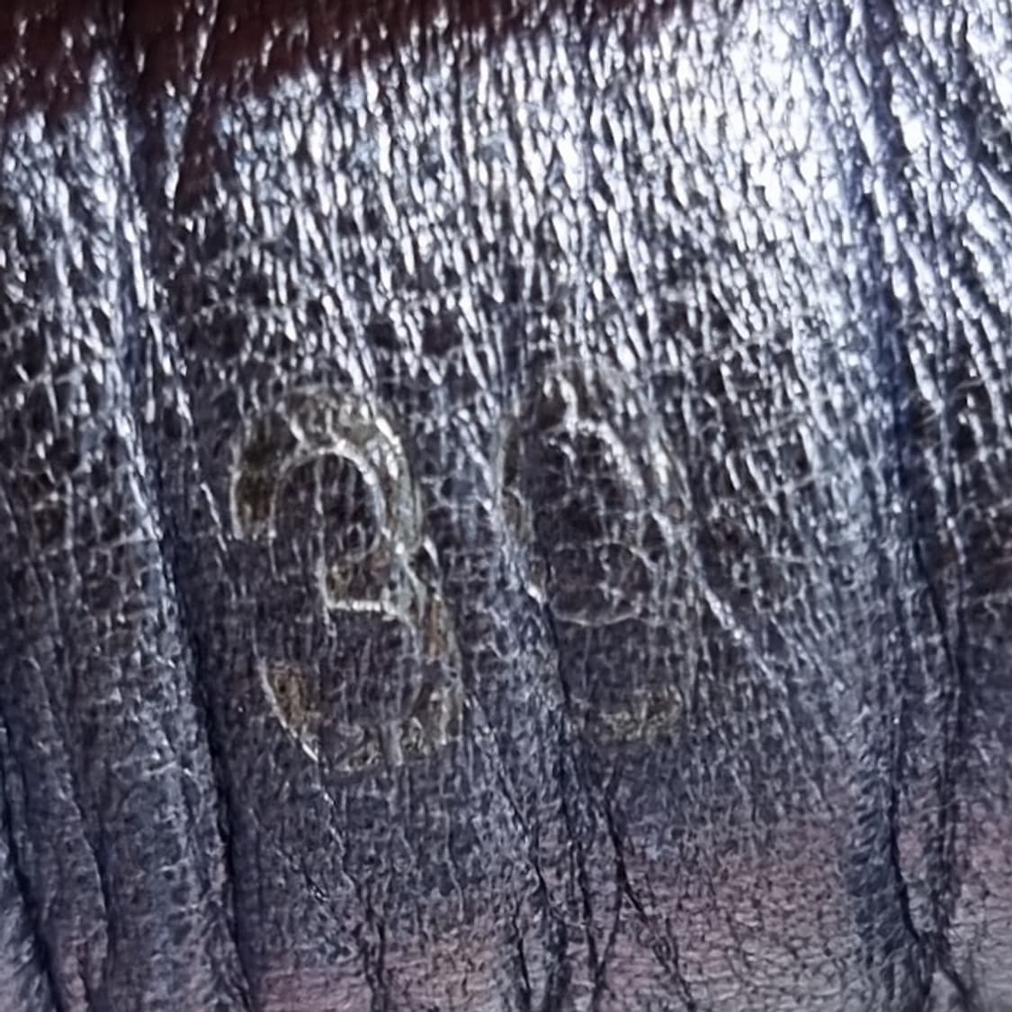 쟈딕앤볼테르 레더 여성스니커즈 39 250 상품이미지6