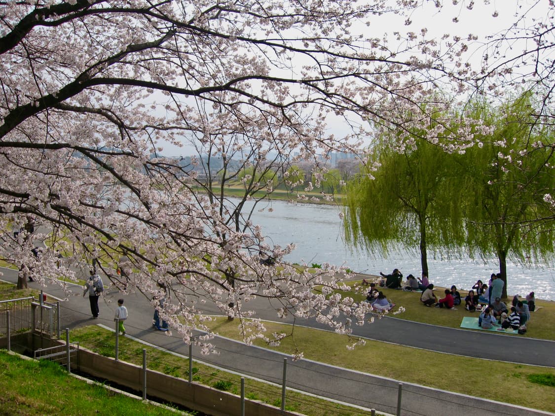 캐논 익서스 900ti 대여(SD900 / IXY 1000 작례0) 상품이미지8