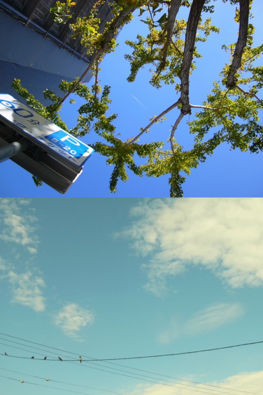 작례🫧𖠳ᐝ파나소닉 PANASONIC LUMIX DMC-LC70 상품이미지7