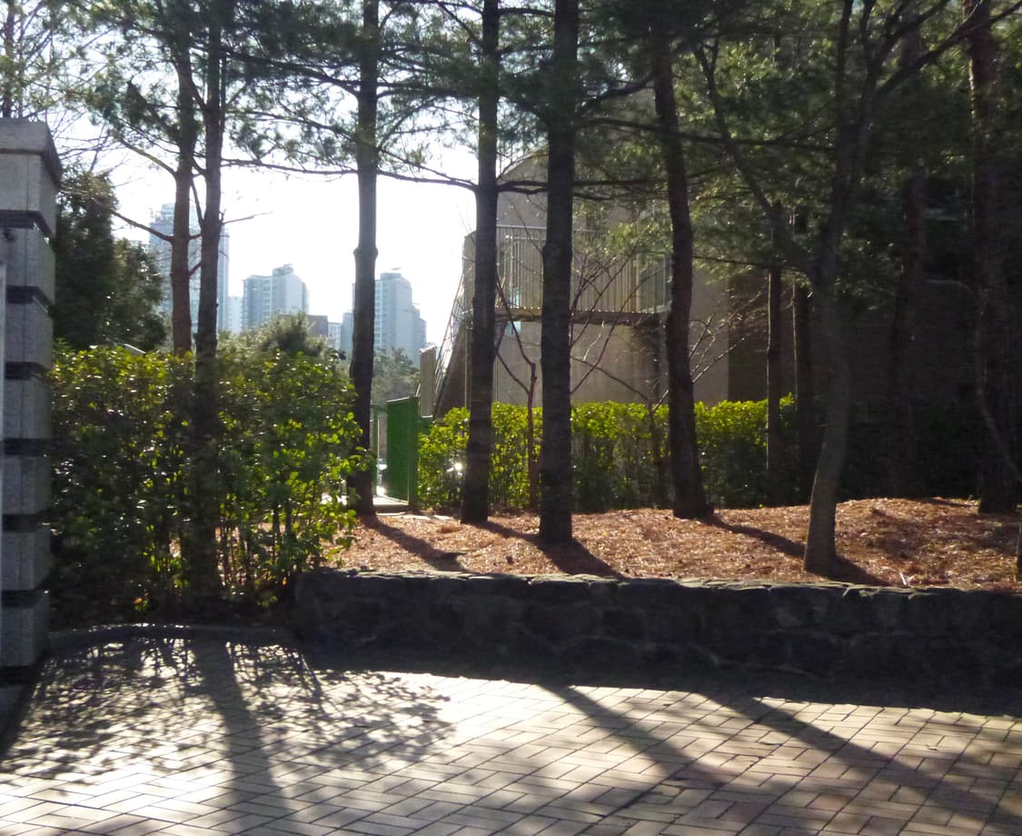 풀박-Lumix DMC fx77 핑크💕 디카 (작례0) 상품이미지8