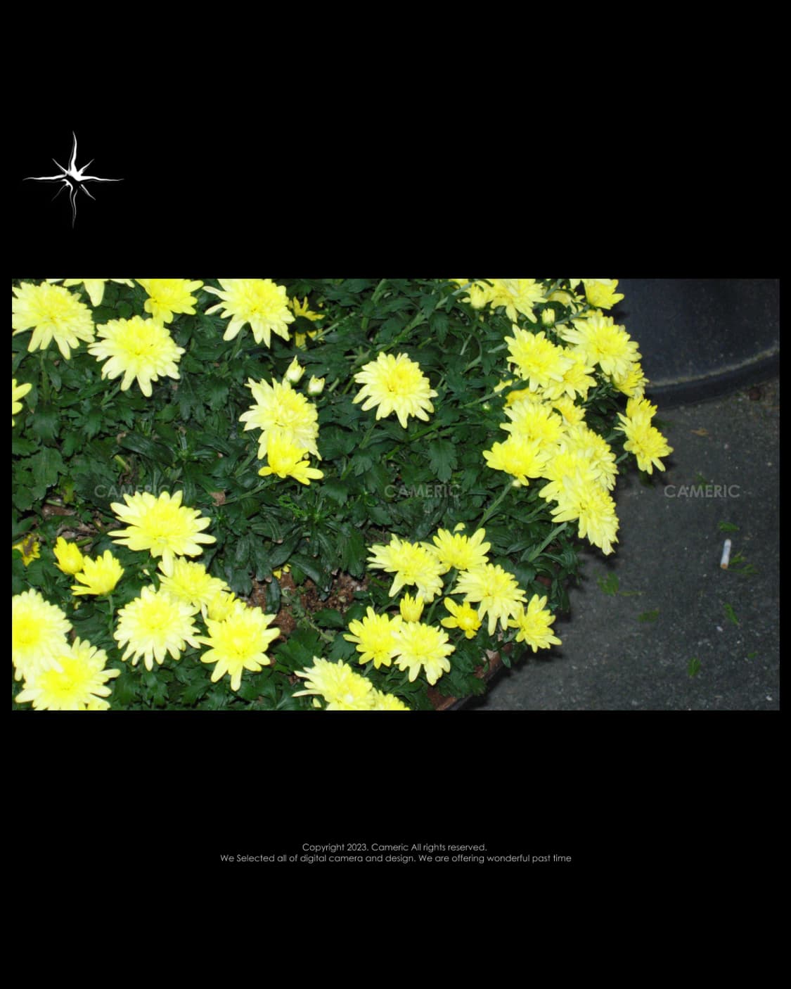 (풀박스/S급) 니콘 Nikon coolpix p4 디카 상품이미지6