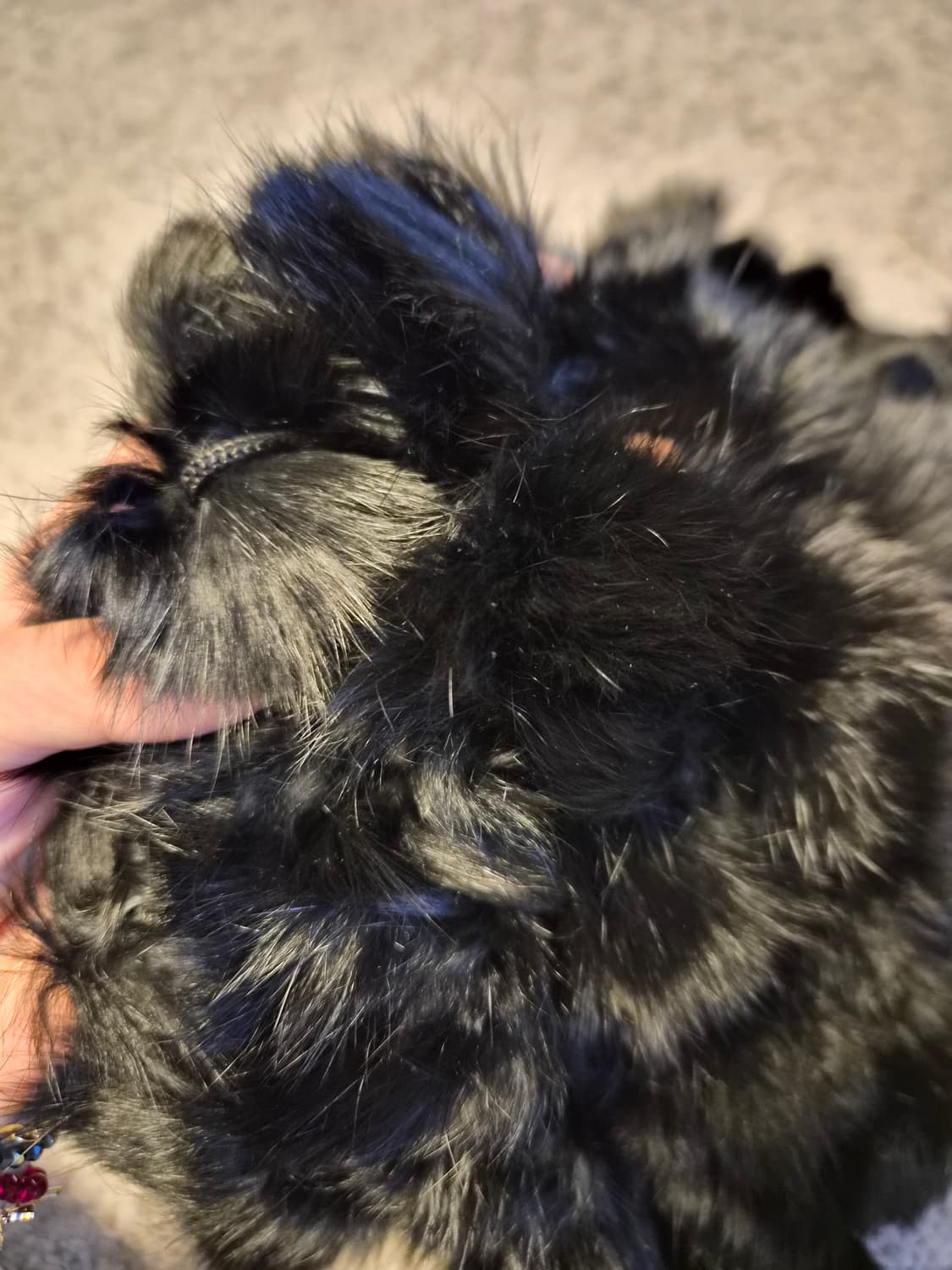 렉스 미니 숄겸 목도리 상품이미지3