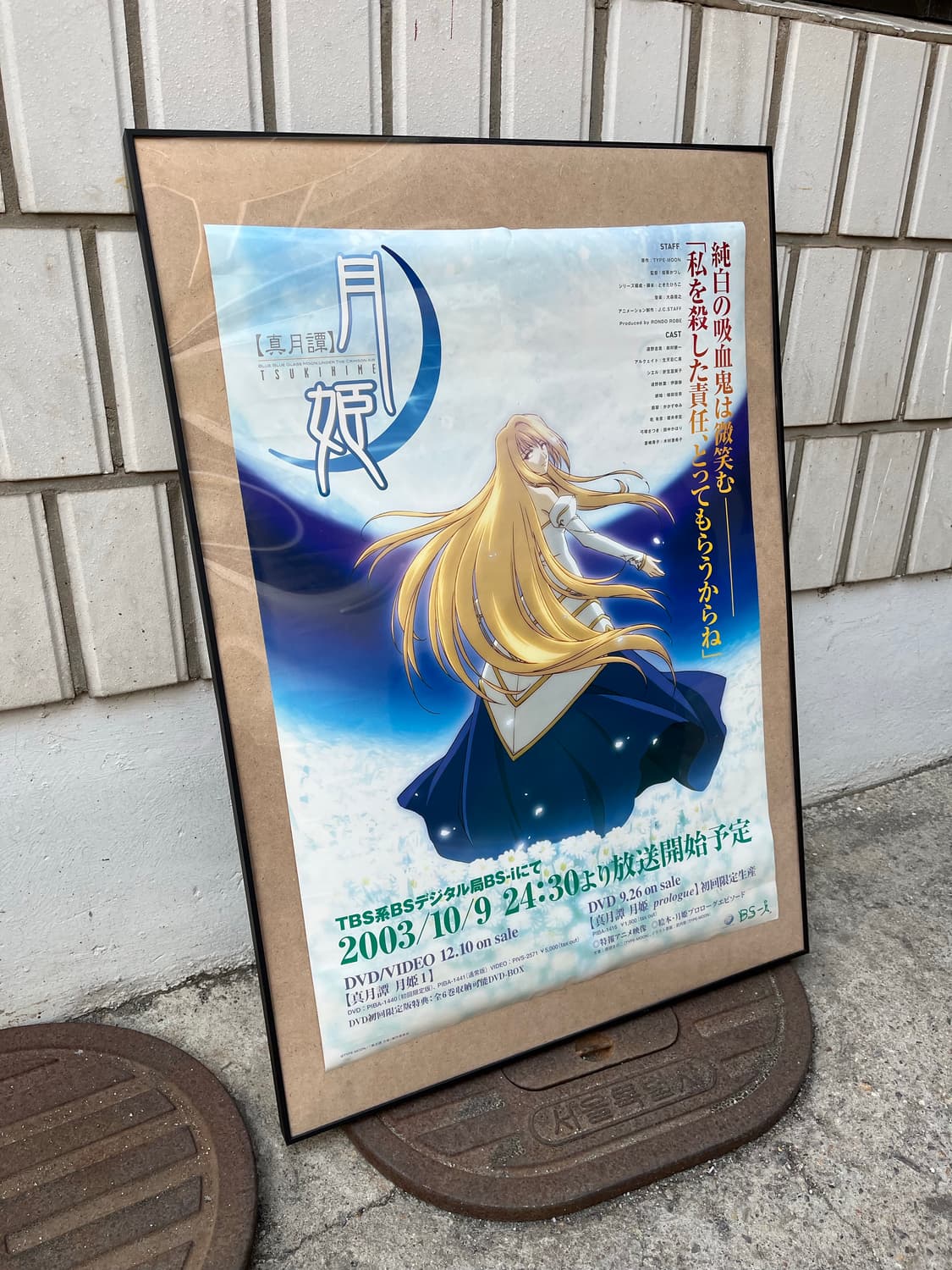 진월담 월희 (真月譚 月姫) | 공식 애니메이션 홍보 포스터 상품이미지2