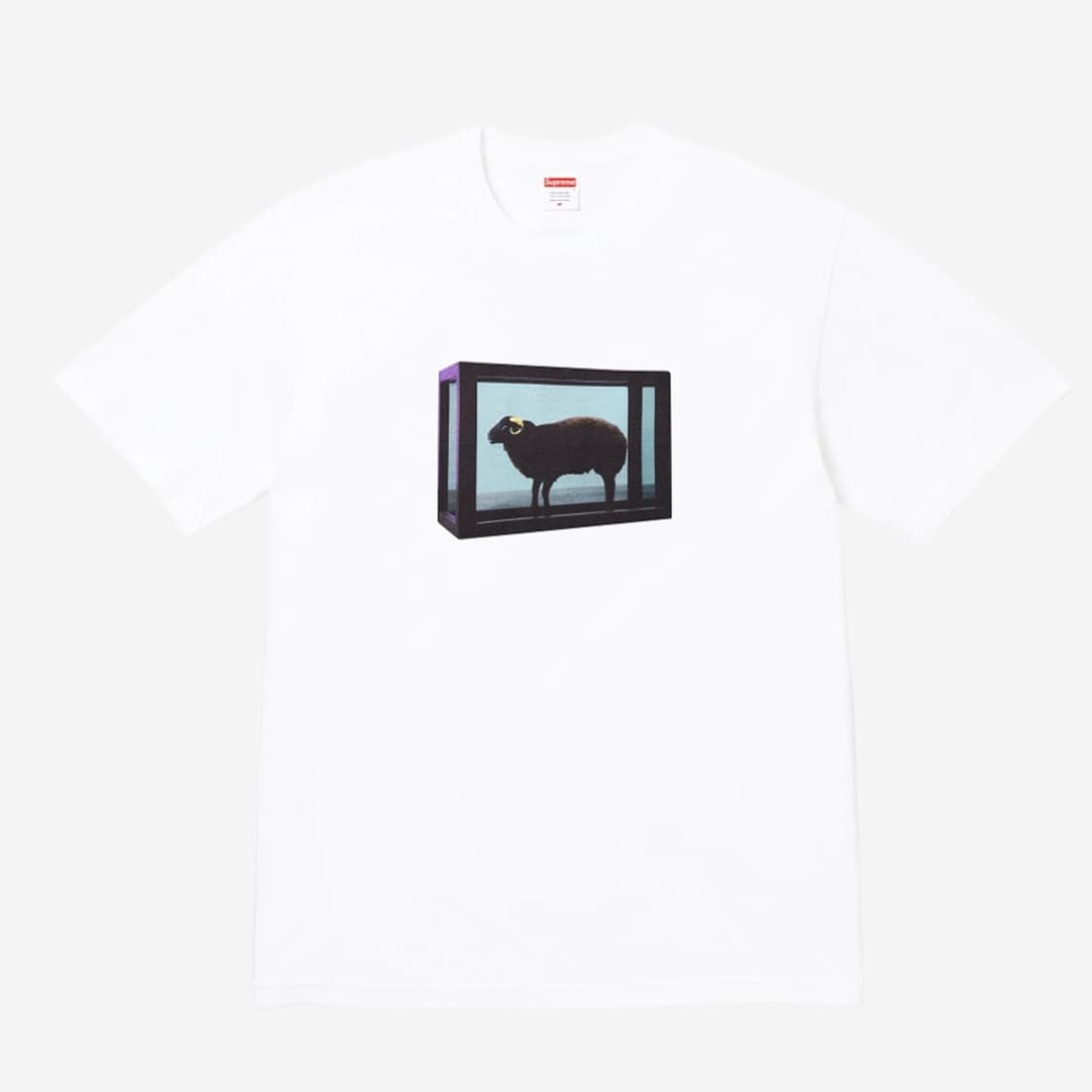 Supreme x Damien Hirst T-Shirt White (M) 상품이미지1