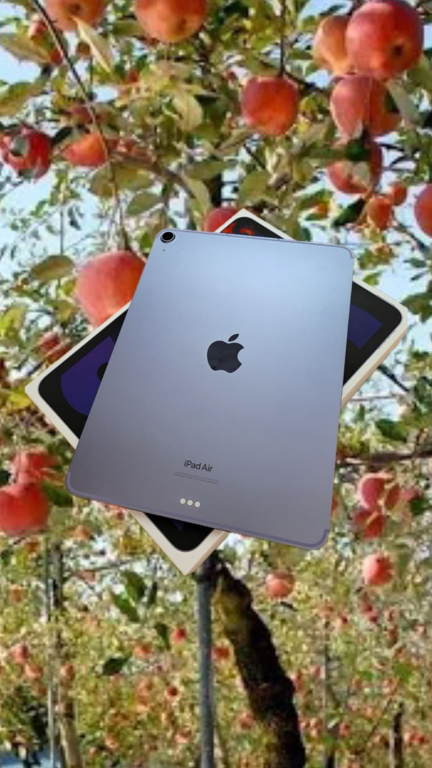 아이패드 에어5 256g + 2세대 애플펜슬 상품이미지1