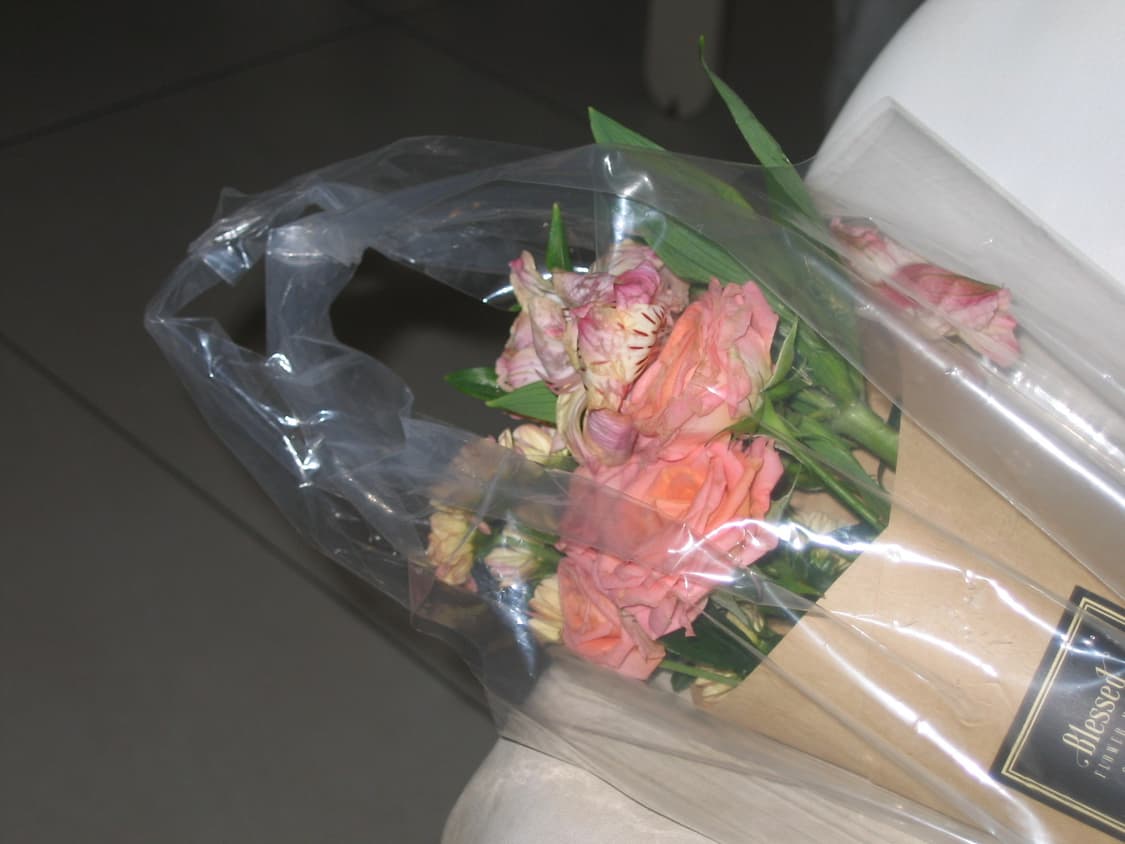 캐논 파워샷 A95 상품이미지4