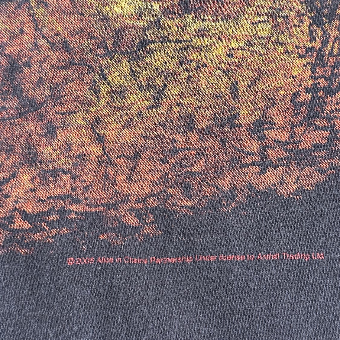 00s 앨리스 인 체인스 Dirt 빈티지 티셔츠 XL 상품이미지5