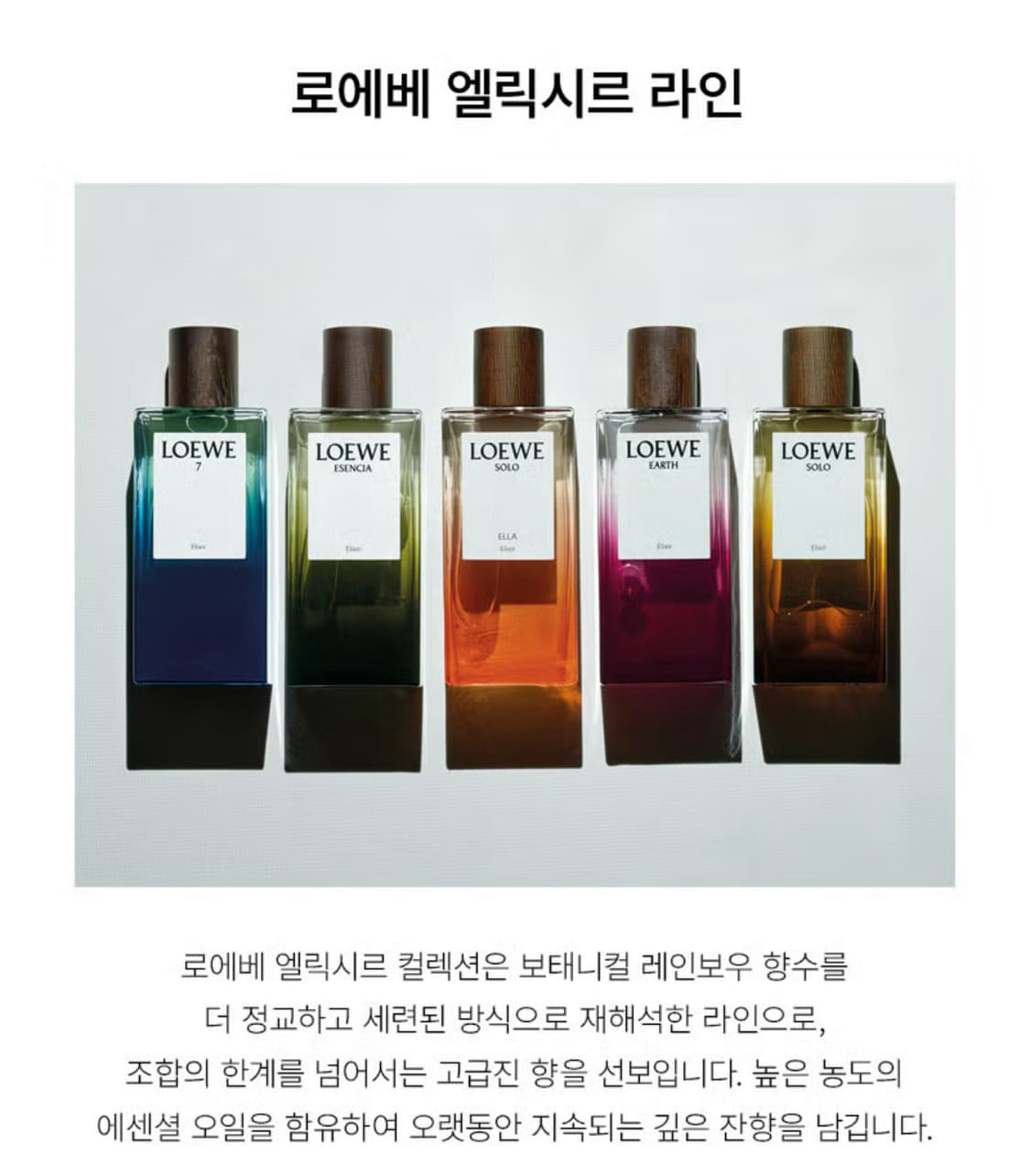 로에베 향수 Solo Elixir ODP 상품이미지5