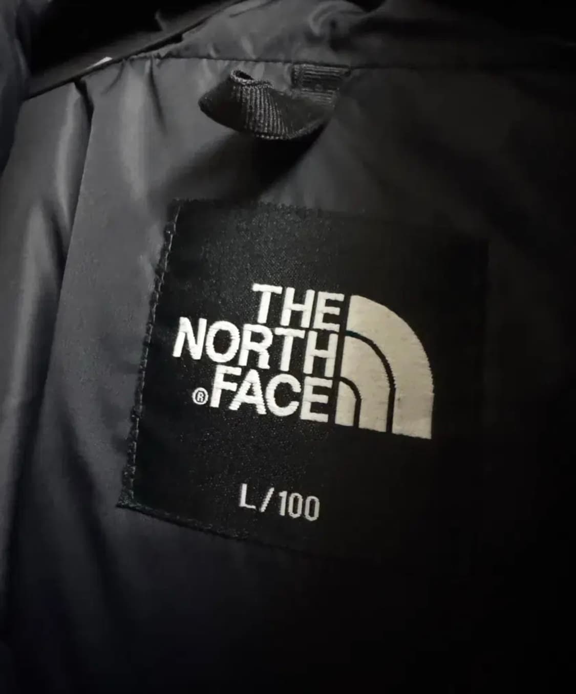 노스페이스 1996 에코눕시 L 상품이미지3