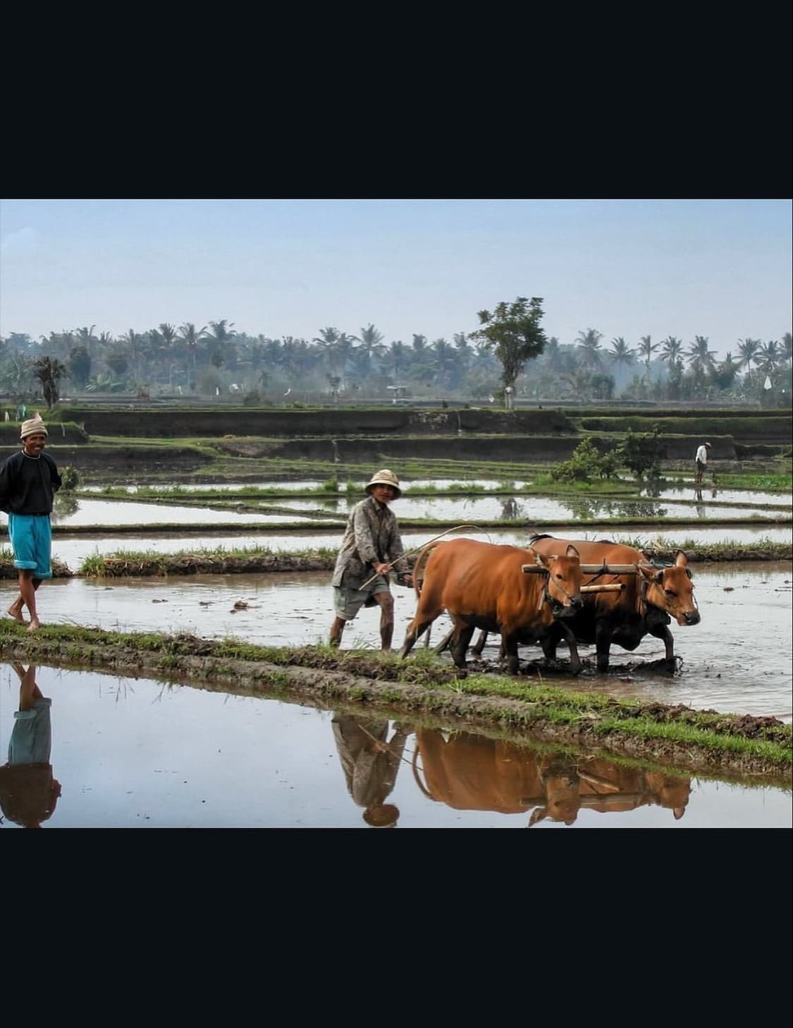 니콘 쿨픽스 4300 디지털카메라 상품이미지9