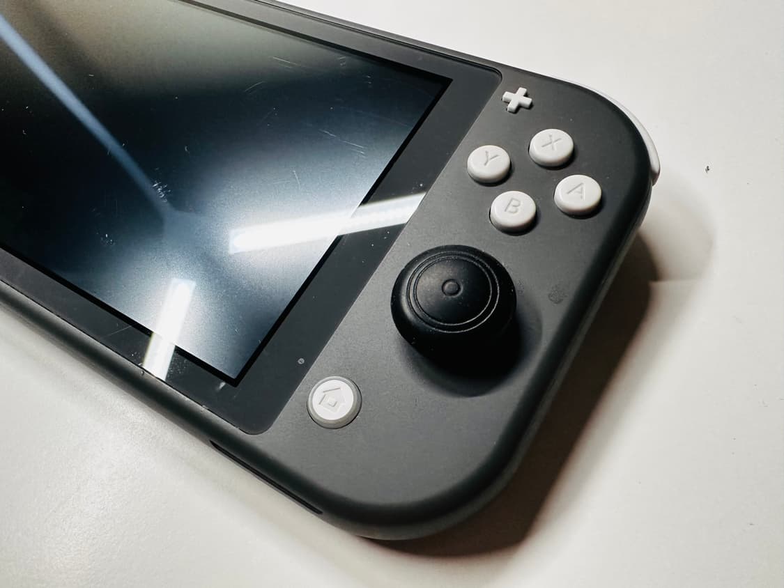 닌텐도 스위치 라이트 그레이 + 케이스, 액정필름 등 구성품 판매 상품이미지5