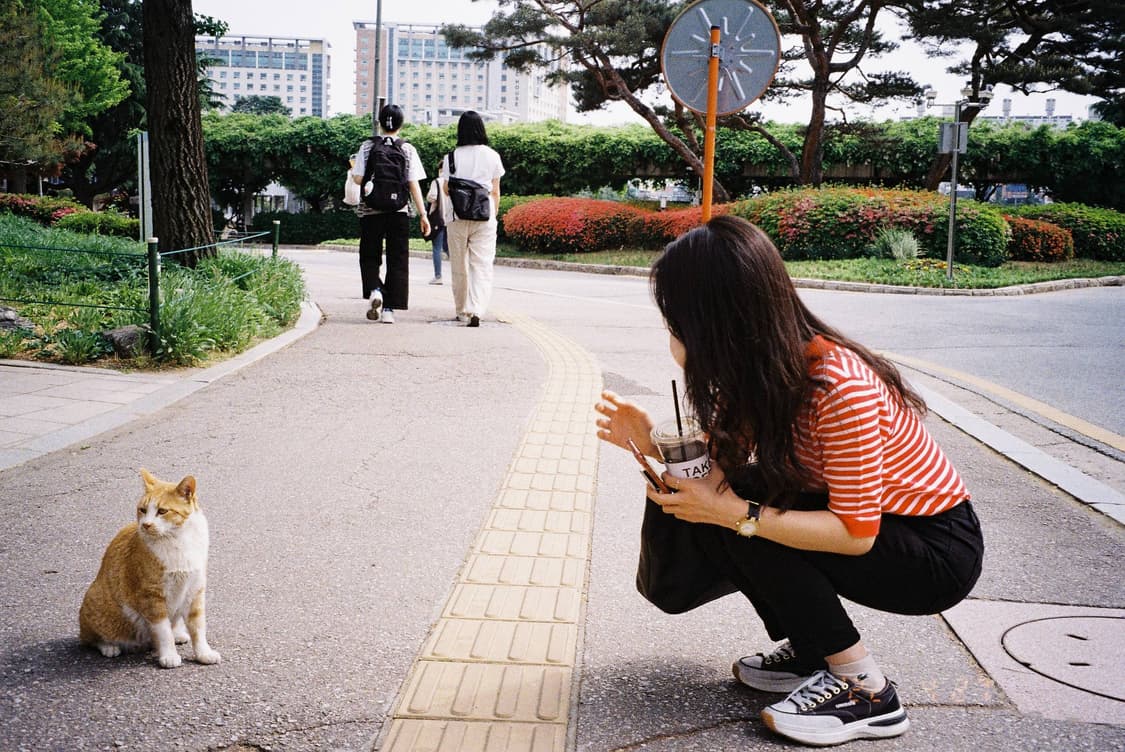 작례O 하이엔드 삼성 케녹스 엘리트 400 필름카메라 빈티지 필카 상품이미지3