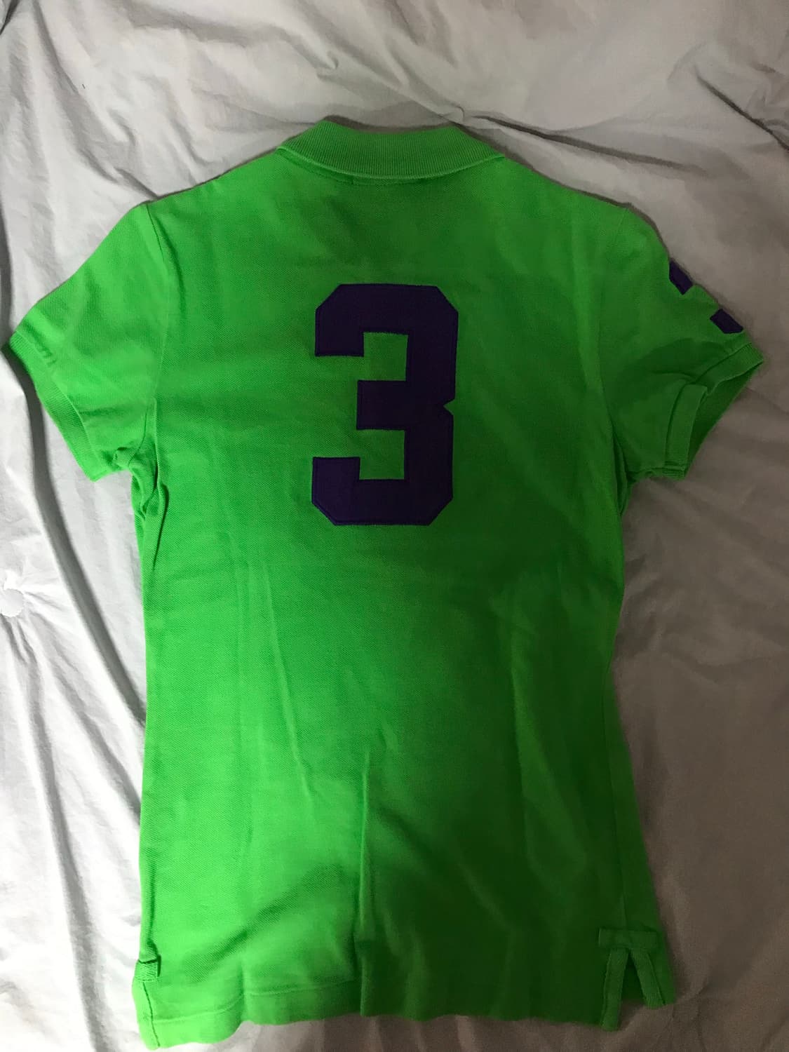 폴로 빅포니 카라 티셔츠 상품이미지2