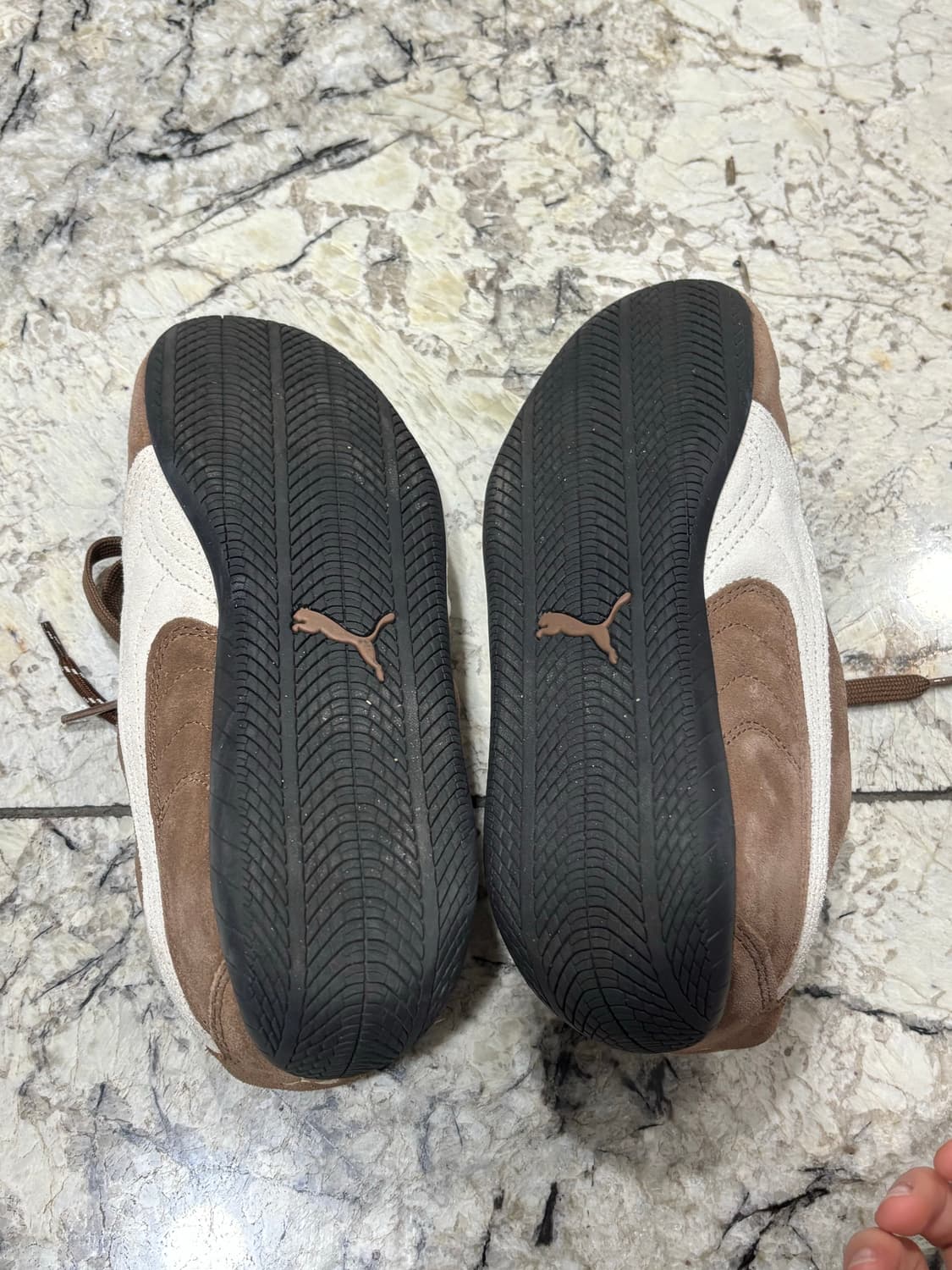 푸마 스피드캣 OG - 하우트커피 프로스트아이보리 상품이미지6