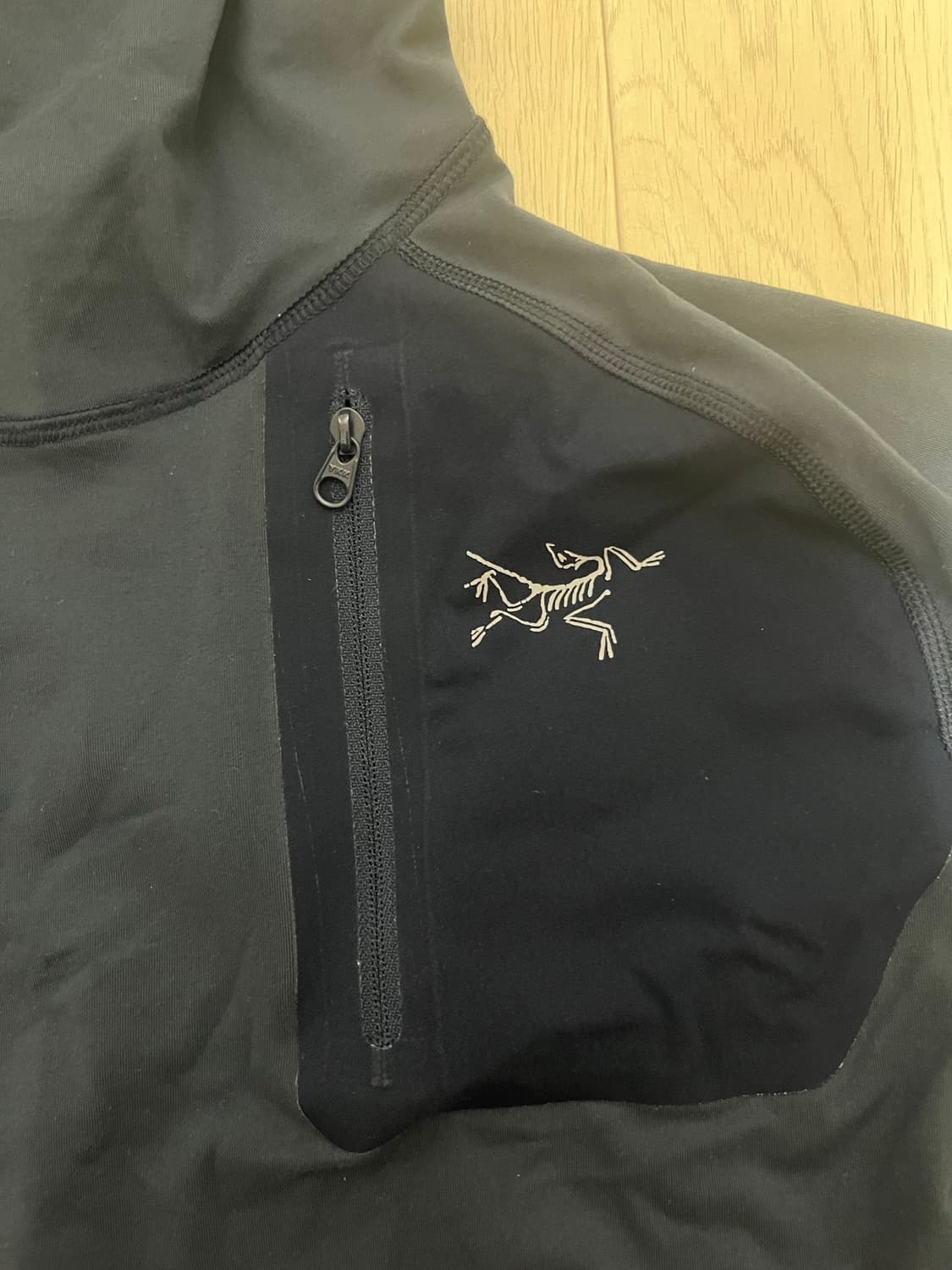 아크테릭스 후디 상품이미지2