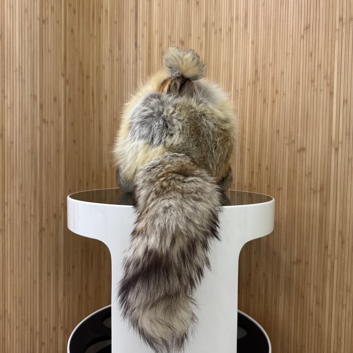 라쿤 오리지널 털모자 상품이미지4