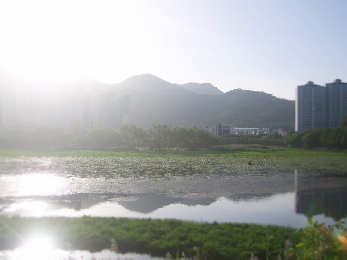 삼성 케녹스 Samsung Kenox V10 레드 상품이미지5