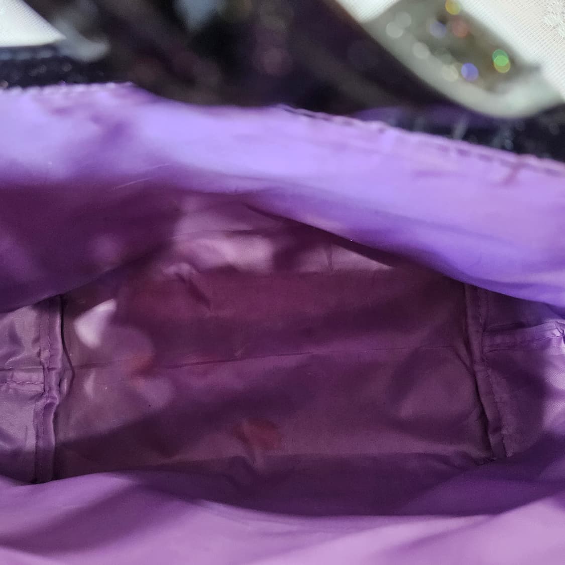 ANNA SUI 글리터 가방 상품이미지6