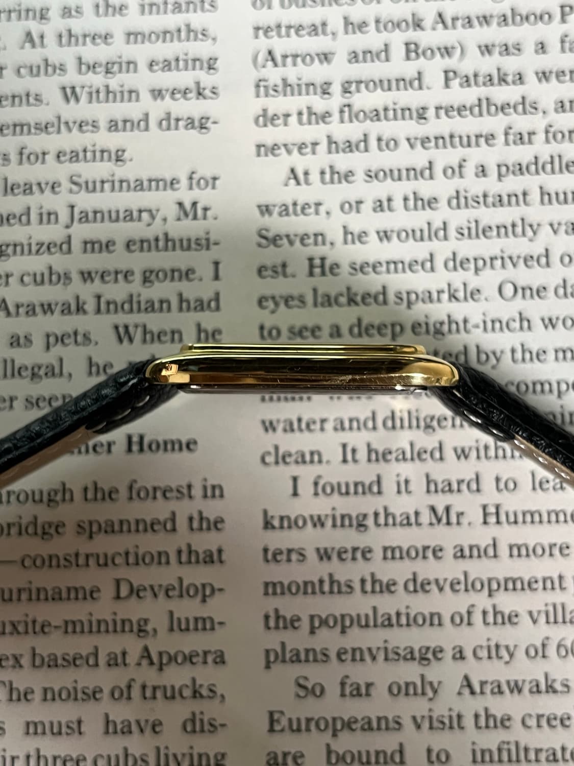 Seiko Chariot Vintage  상품이미지5