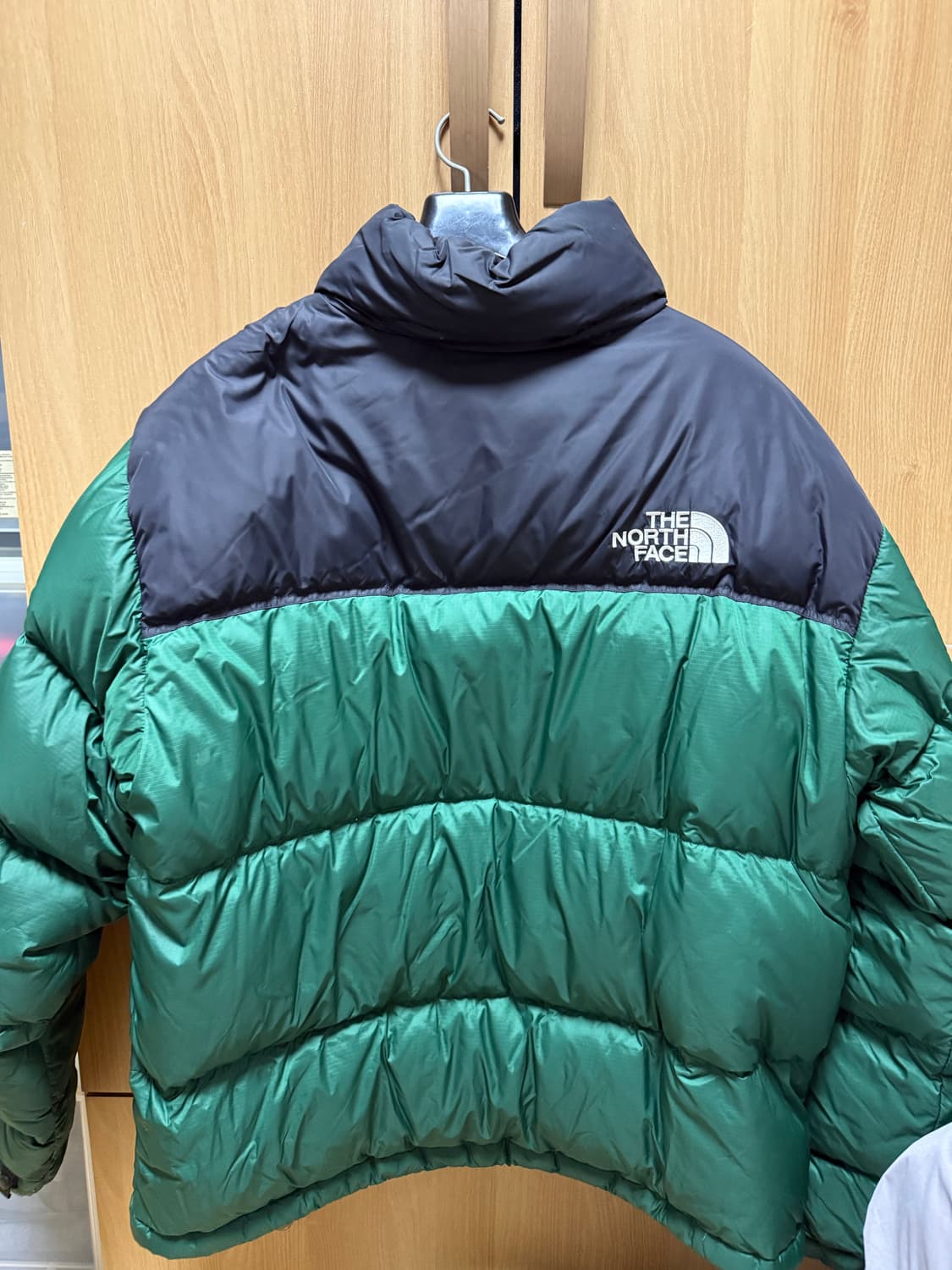 노스페이스 에코눕시 그린 XL 상품이미지2
