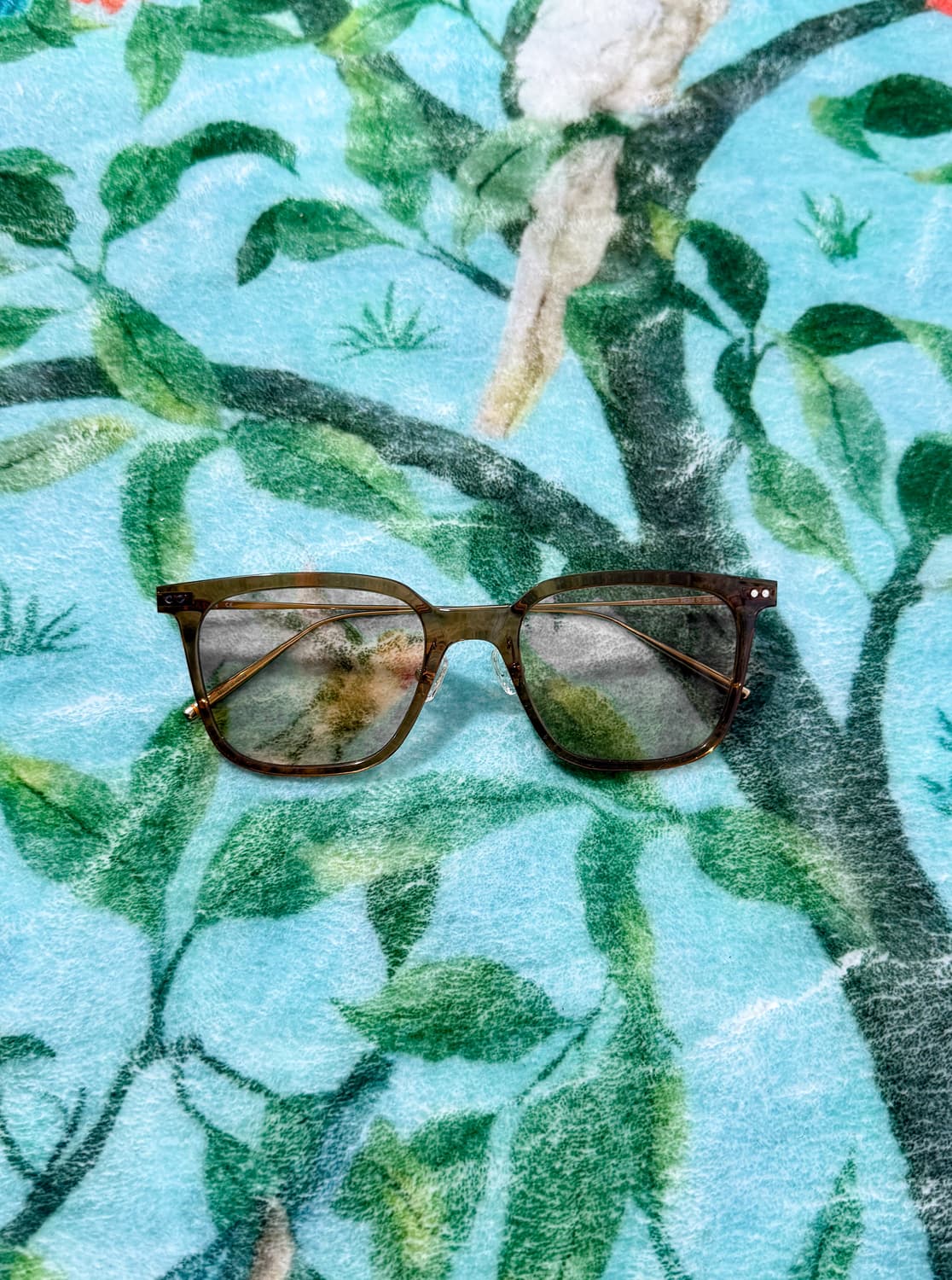 CARIN ROIST S_C5 상품이미지2