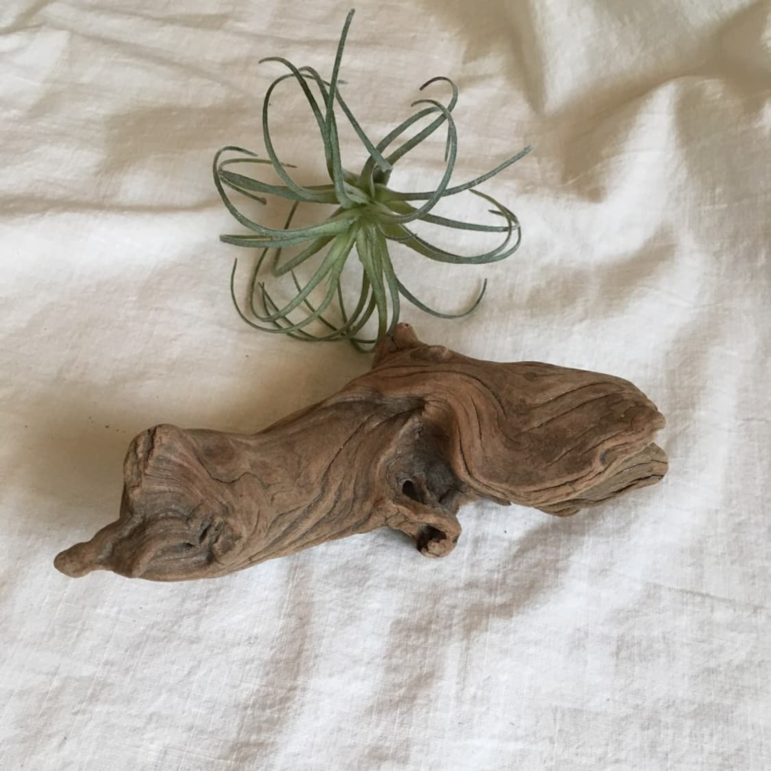 wood object 028 상품이미지2