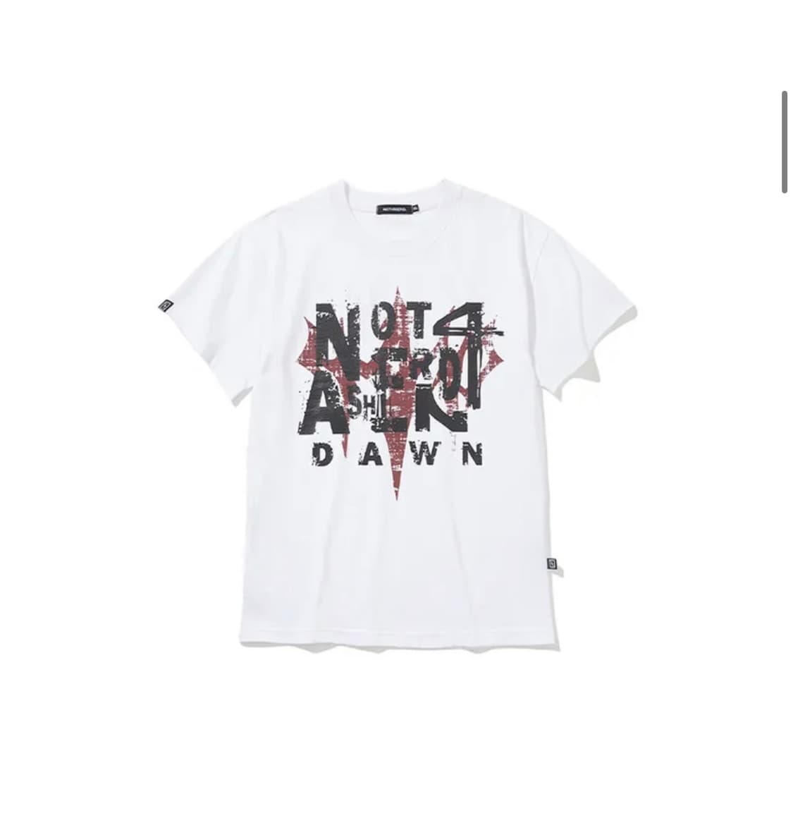 낫포너드 Trident Logo Ashen Dawn Regular Fit 상품이미지1