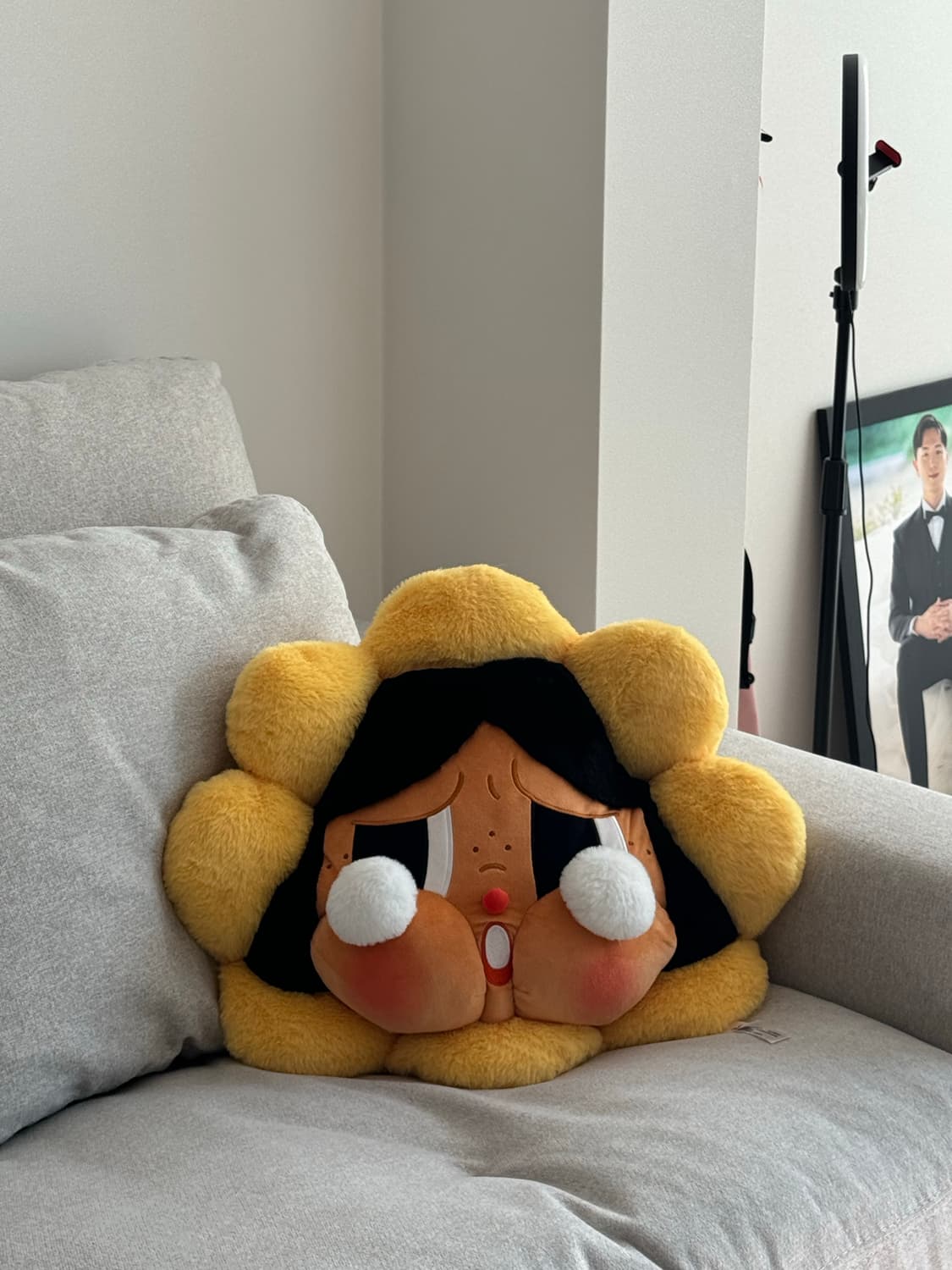 POP MART 크라이베이비 플러시 쿠션 상품이미지2